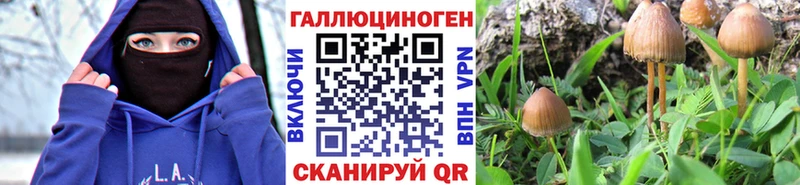 Псилоцибиновые грибы Cubensis  Судак 